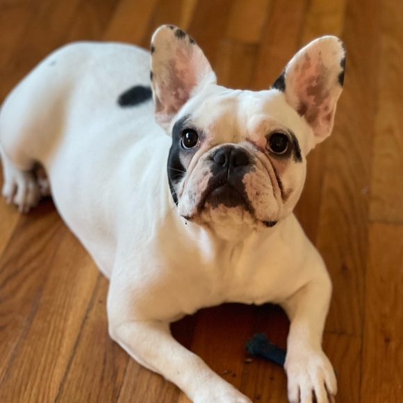 Meet Your Seller/Buyer!☺️ - Picture 5 of 7